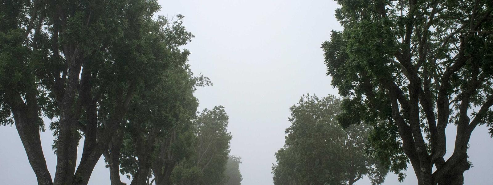 西湖畔旅游开发有限公司轮播图1